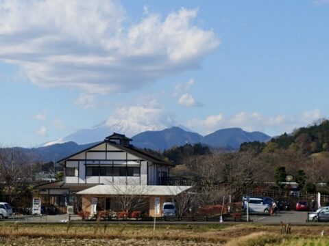 田原ふるさと公園