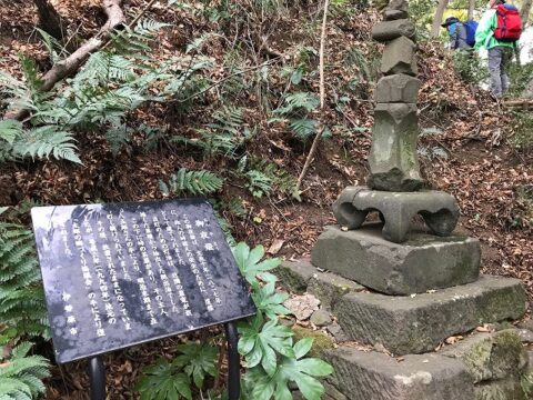 ハイキング（善波峠・高取山・田原ふるさと公園コース）