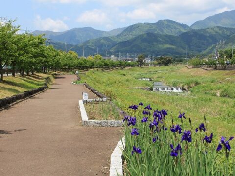 ハイキング（水無川コース）