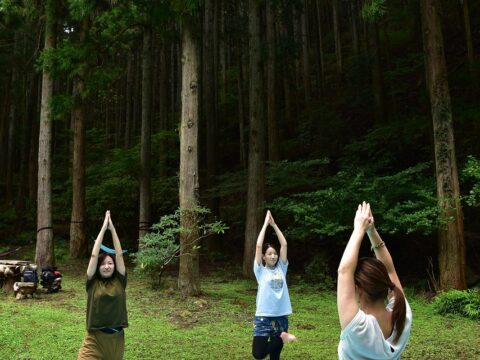 はだの表丹沢森林セラピー（蓑毛・春嶽湧水コース）