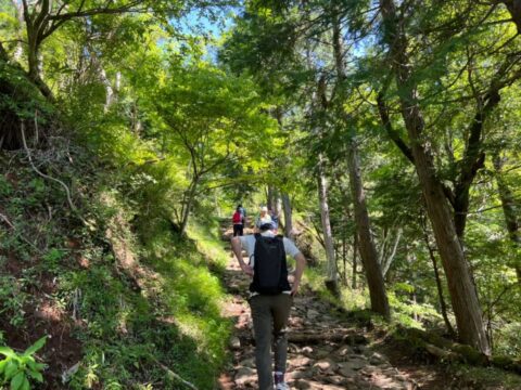 表丹沢登山体験（大山コース）