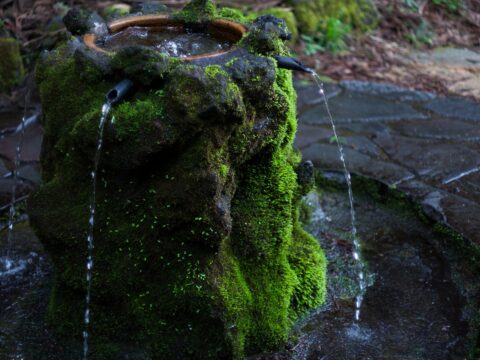 護摩屋敷の水