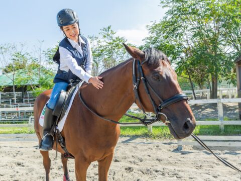 クレイン神奈川　乗馬体験