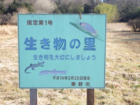 柳川・生き物の里