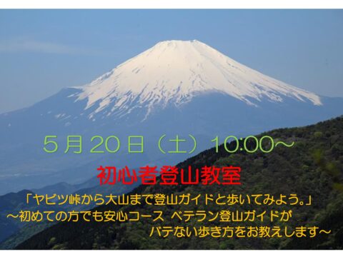 初心者登山教室「ヤビツ峠から大山まで登山ガイドと歩いてみよう」